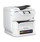C11CL31301